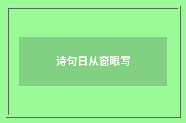 诗句日从窗眼写