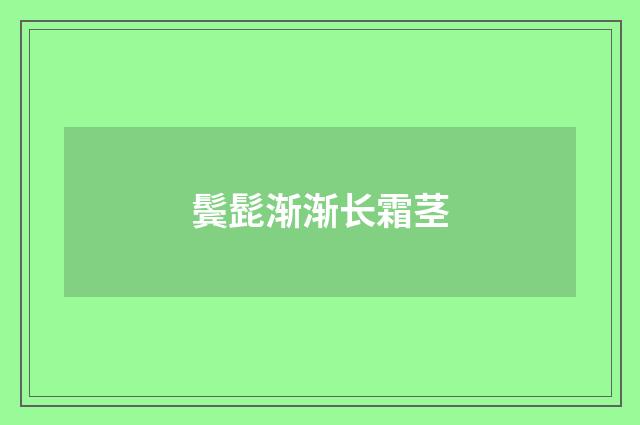 鬓髭渐渐长霜茎