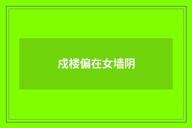 戍楼偏在女墙阴
