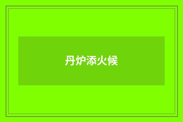 丹炉添火候