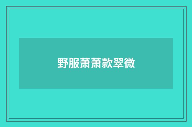 野服萧萧款翠微