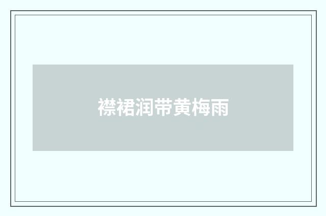 襟裙润带黄梅雨