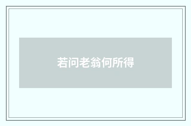 若问老翁何所得