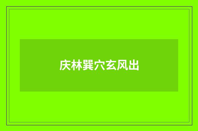 庆林巽穴玄风出