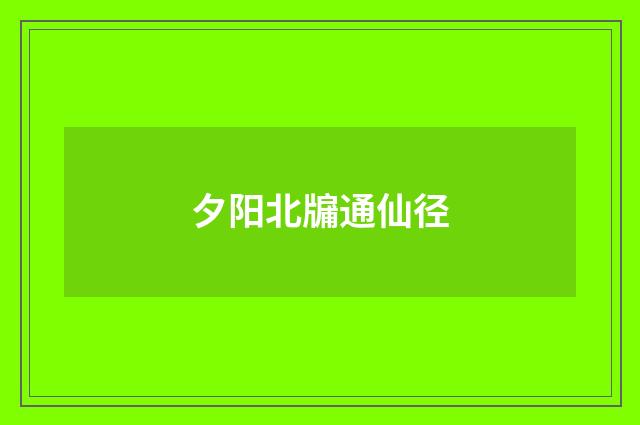 夕阳北牖通仙径
