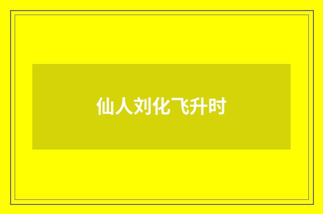 仙人刘化飞升时