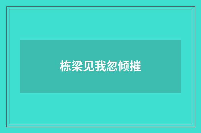 栋梁见我忽倾摧