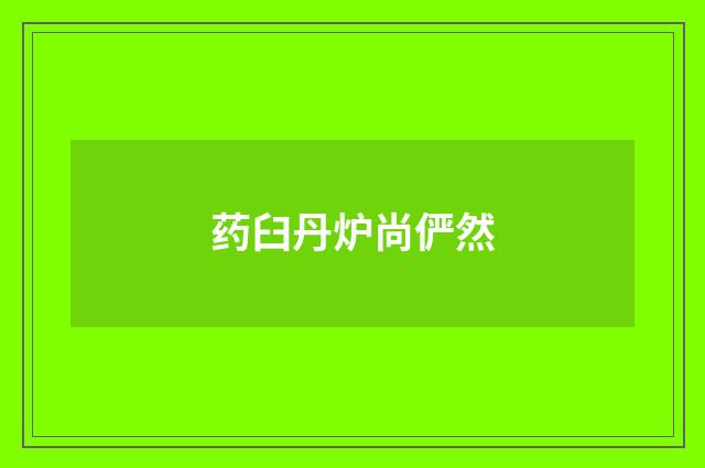 药臼丹炉尚俨然