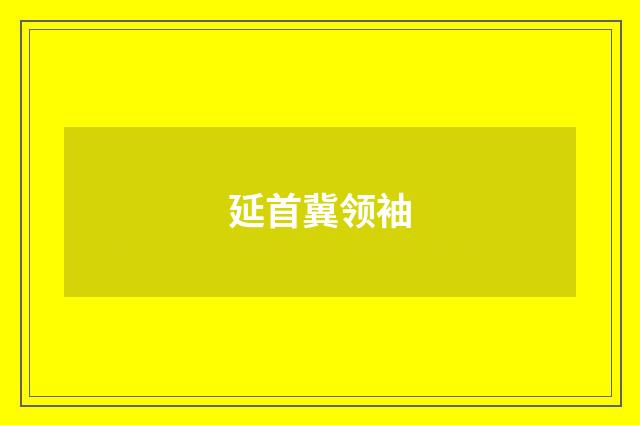延首冀领袖