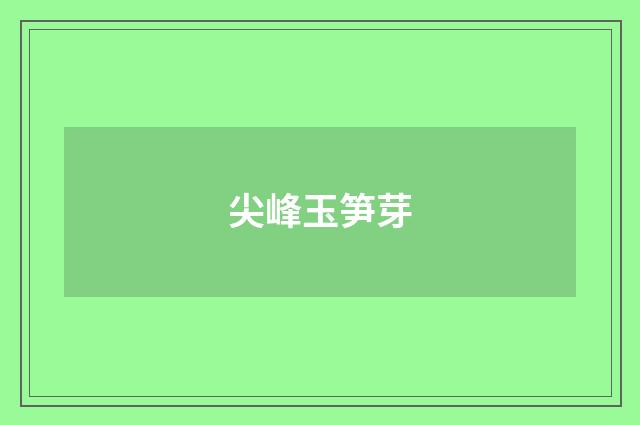 尖峰玉笋芽