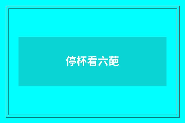 停杯看六葩