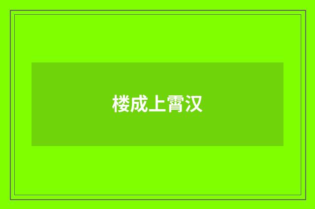 楼成上霄汉