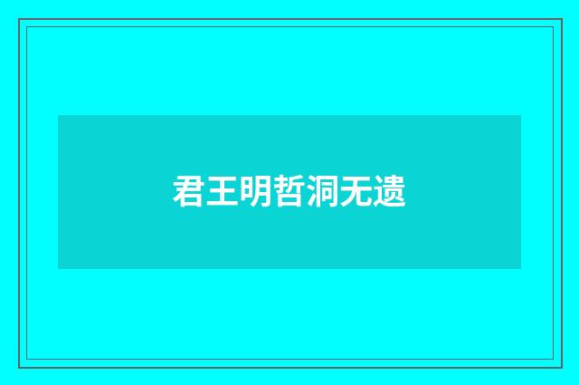 君王明哲洞无遗