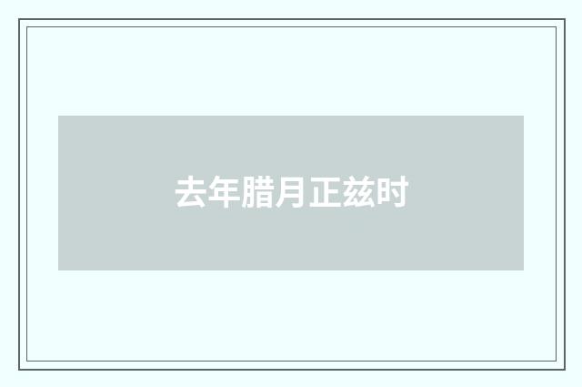 去年腊月正兹时