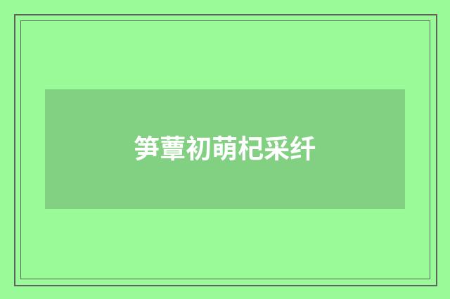 笋蕈初萌杞采纤