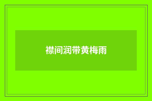 襟间润带黄梅雨