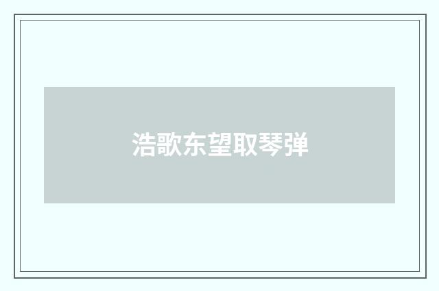 浩歌东望取琴弹