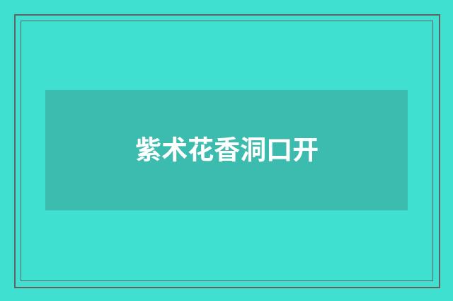 紫术花香洞口开