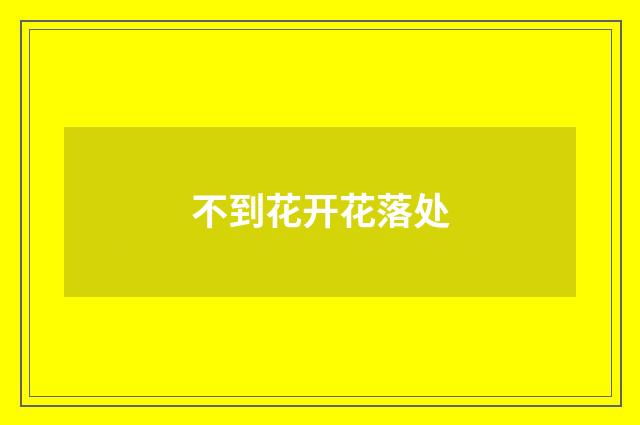 不到花开花落处