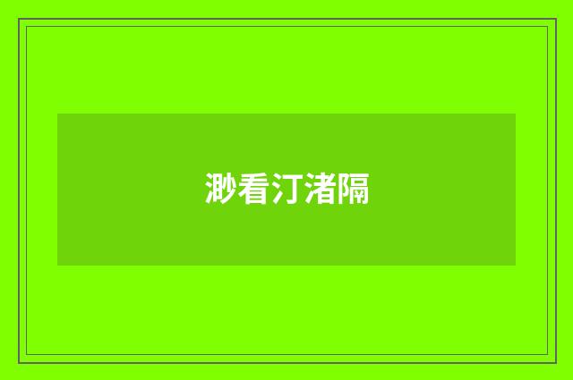 渺看汀渚隔
