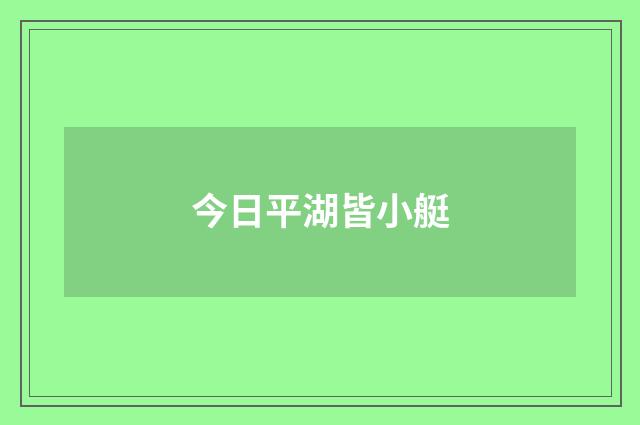 今日平湖皆小艇