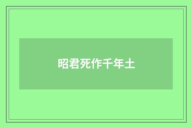昭君死作千年土
