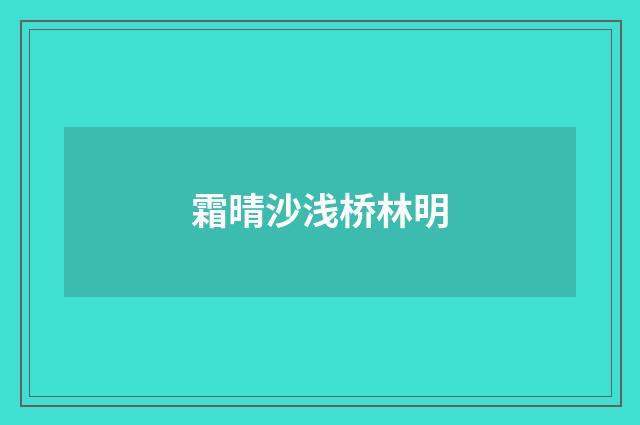 霜晴沙浅桥林明