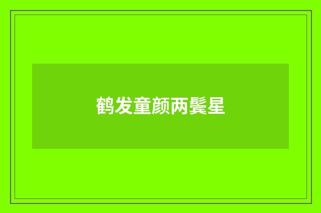 鹤发童颜两鬓星