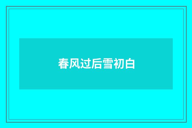 春风过后雪初白