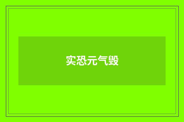 实恐元气毁