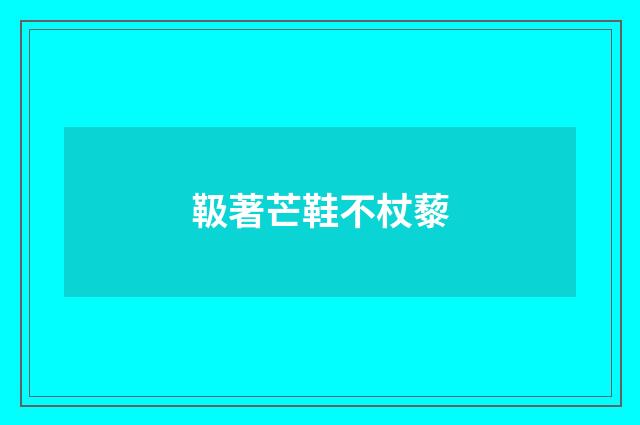 靸著芒鞋不杖藜
