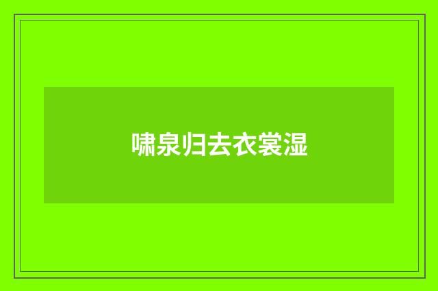啸泉归去衣裳湿