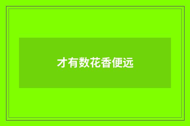 才有数花香便远
