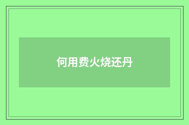 何用费火烧还丹