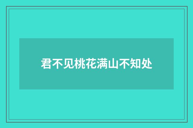 君不见桃花满山不知处
