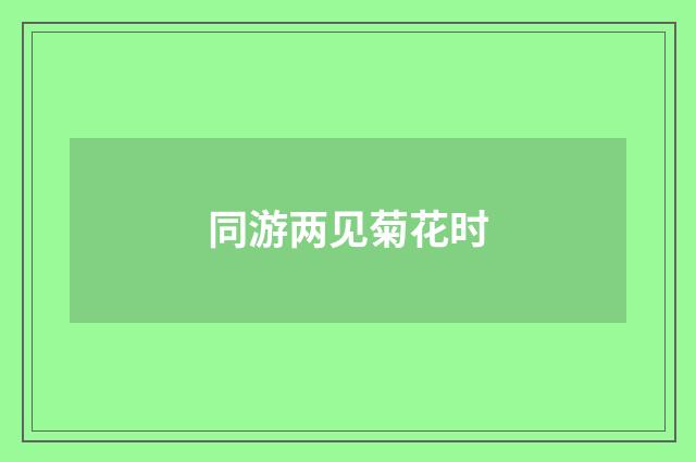 同游两见菊花时