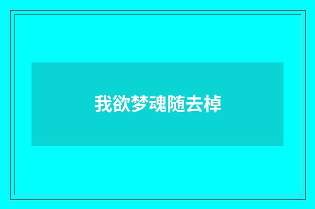 我欲梦魂随去棹