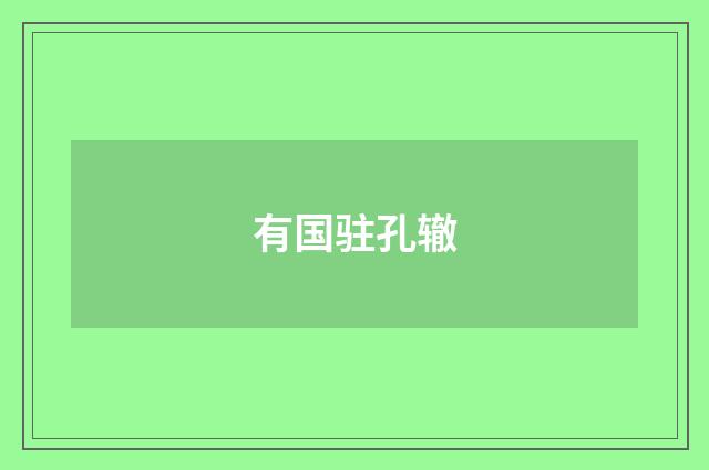 有国驻孔辙