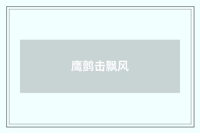 鹰鹯击飘风