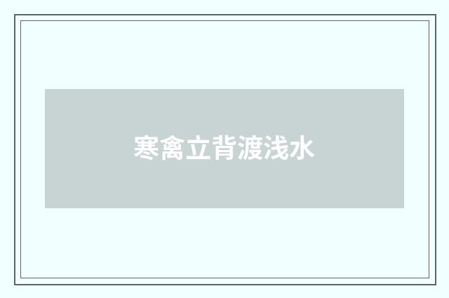 寒禽立背渡浅水