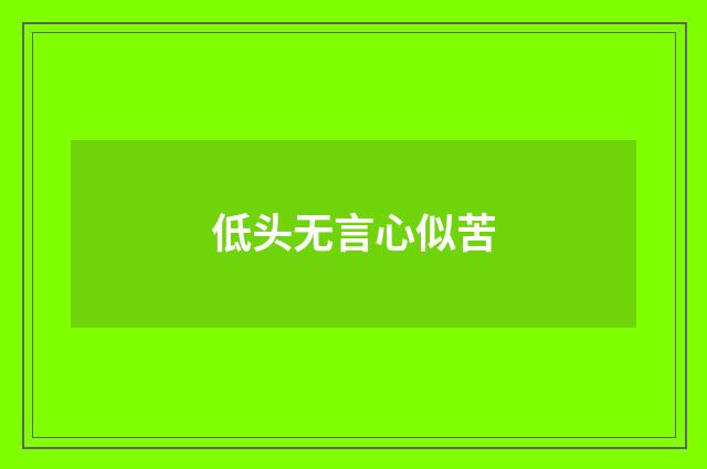 低头无言心似苦