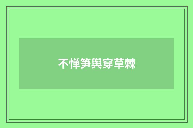 不惮笋舆穿草棘