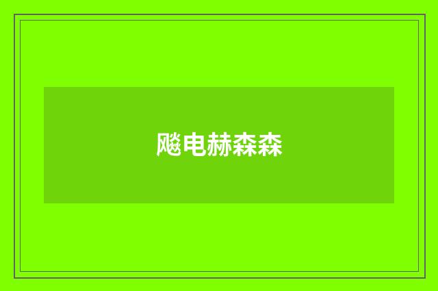飚电赫森森