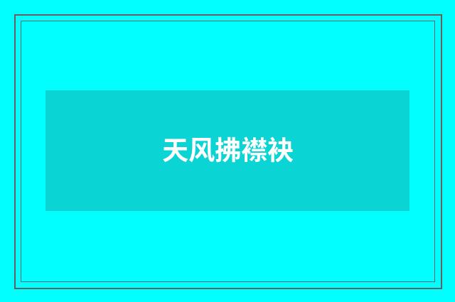 天风拂襟袂