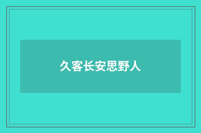 久客长安思野人