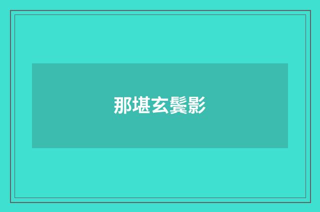 那堪玄鬓影