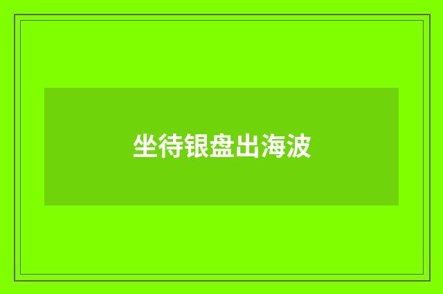 坐待银盘出海波