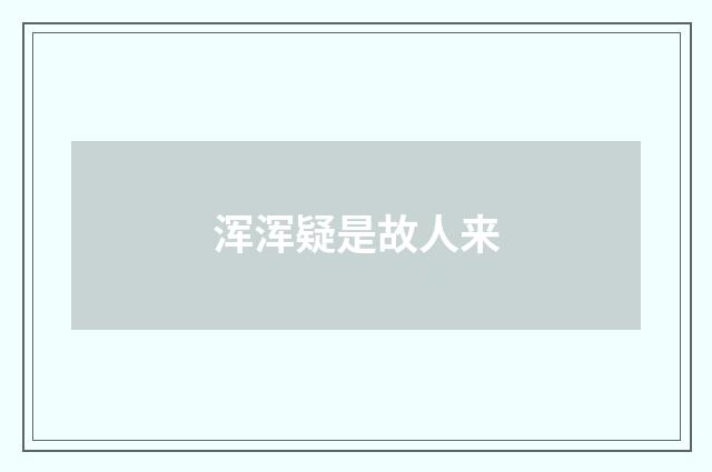 浑浑疑是故人来