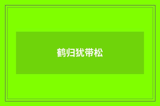 鹤归犹带松