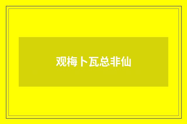 观梅卜瓦总非仙